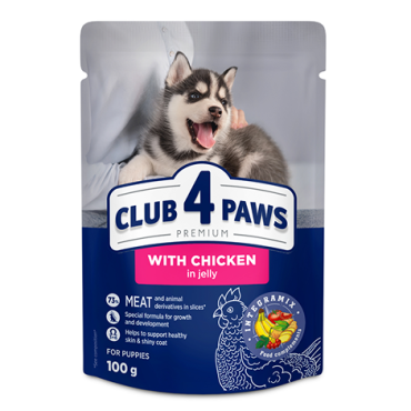 CLUB 4 PAWS Premium for puppies "With chicken in jelly". Complete canned pet food